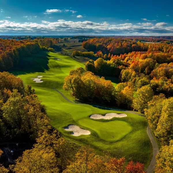 5-3-1 golf package gaylord