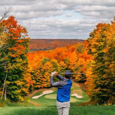 FallFrenzy