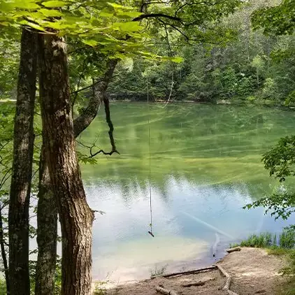 pigeon-river-state-forest-square-468c82e6833edb4de24c635670cb0dc7-67ae7580f22fc
